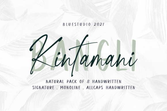 Bangli Kintamani Font for Web Design