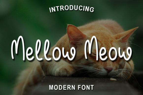 Mellow Meow Font for Business