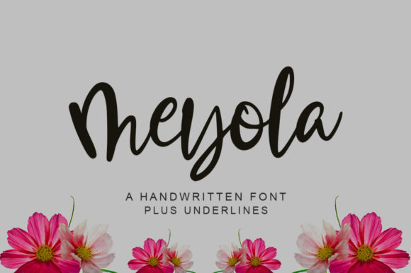 Meyola: A Magical Script Font