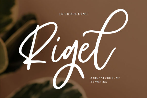 Rigel: A Stylish Script Font for Web Design